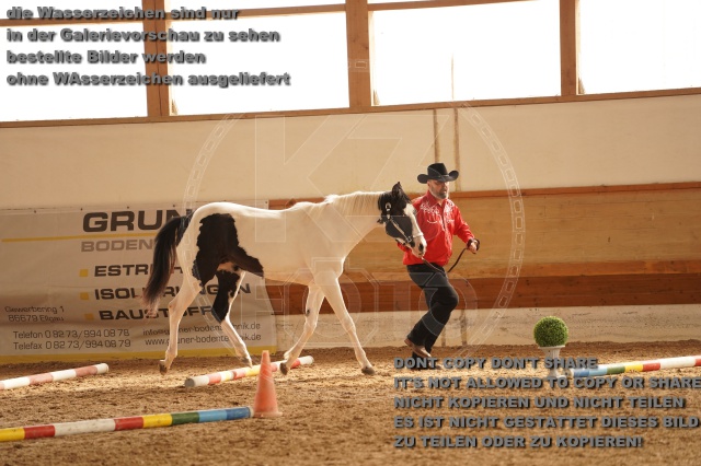 s_A_901281.JPG